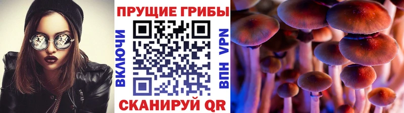 Псилоцибиновые грибы GOLDEN TEACHER  мега зеркало  Гаджиево  цена  